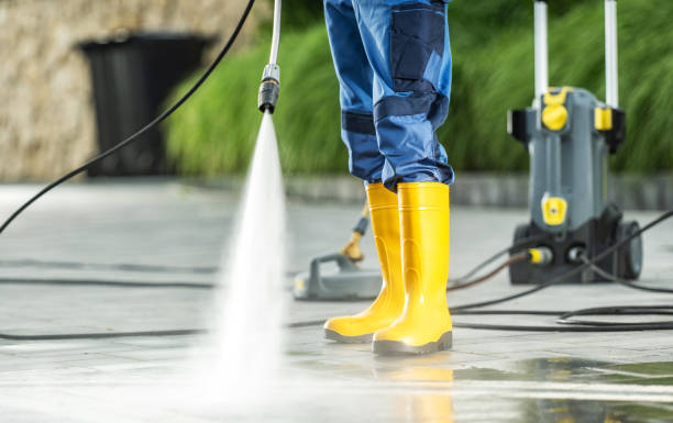 Best Roof Pressure Washing  in Edgewood, PA